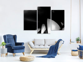 modern-3-piece-canvas-print-operatic