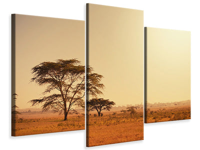 modern-3-piece-canvas-print-pastures-in-kenya