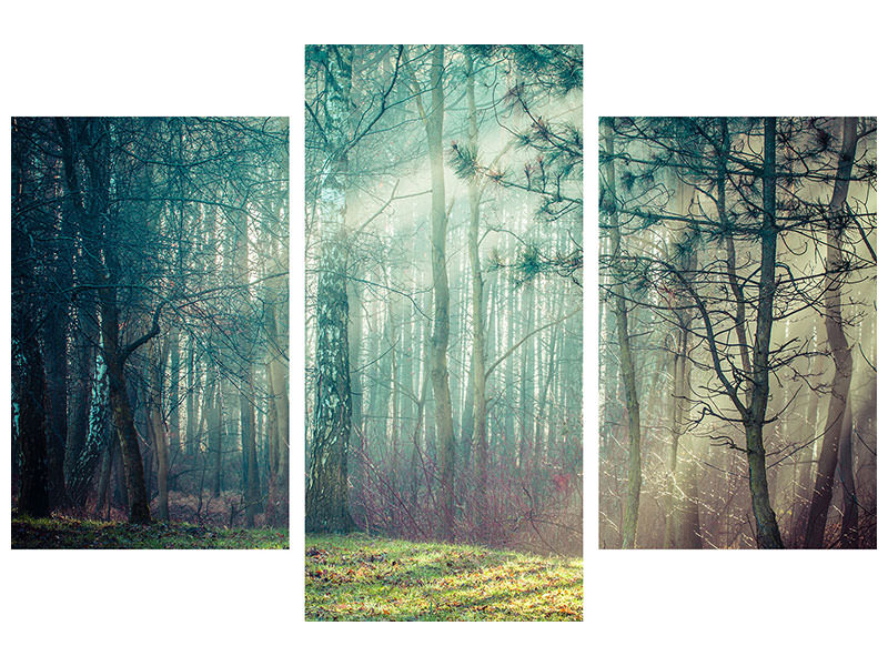 modern-3-piece-canvas-print-pinewood