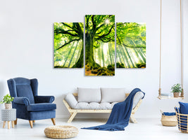 modern-3-piece-canvas-print-ponthus-beech