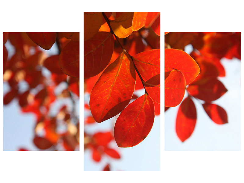 modern-3-piece-canvas-print-red-leaves-xl