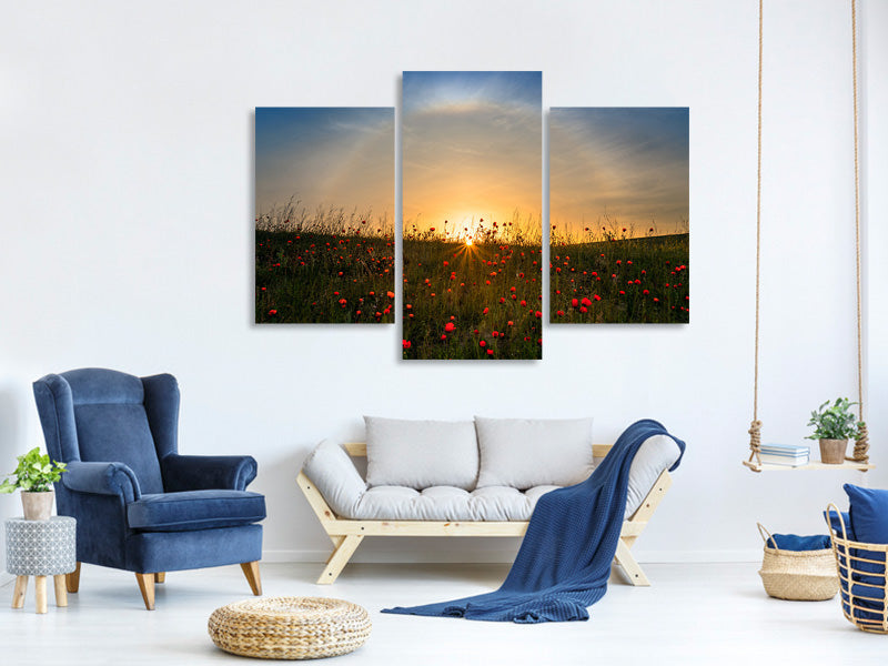modern-3-piece-canvas-print-red-poppies-and-sunrise