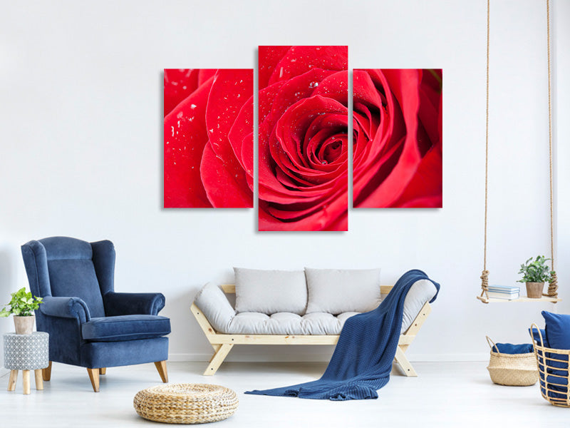 modern-3-piece-canvas-print-red-rose-in-morning-dew