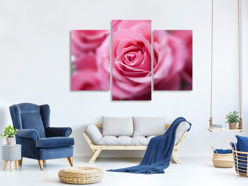 modern-3-piece-canvas-print-roses-macro