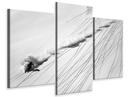 modern-3-piece-canvas-print-skiing-powder
