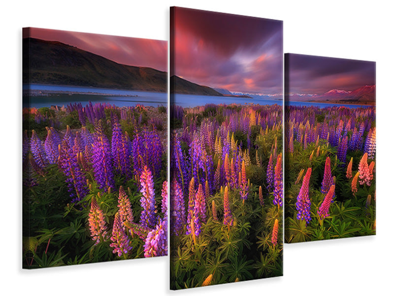 modern-3-piece-canvas-print-springtime-rush