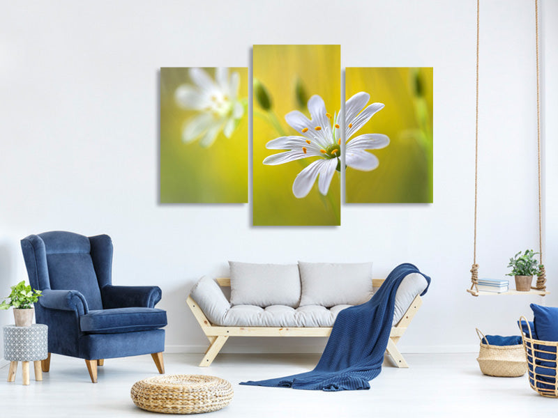 modern-3-piece-canvas-print-stitchwort-ii