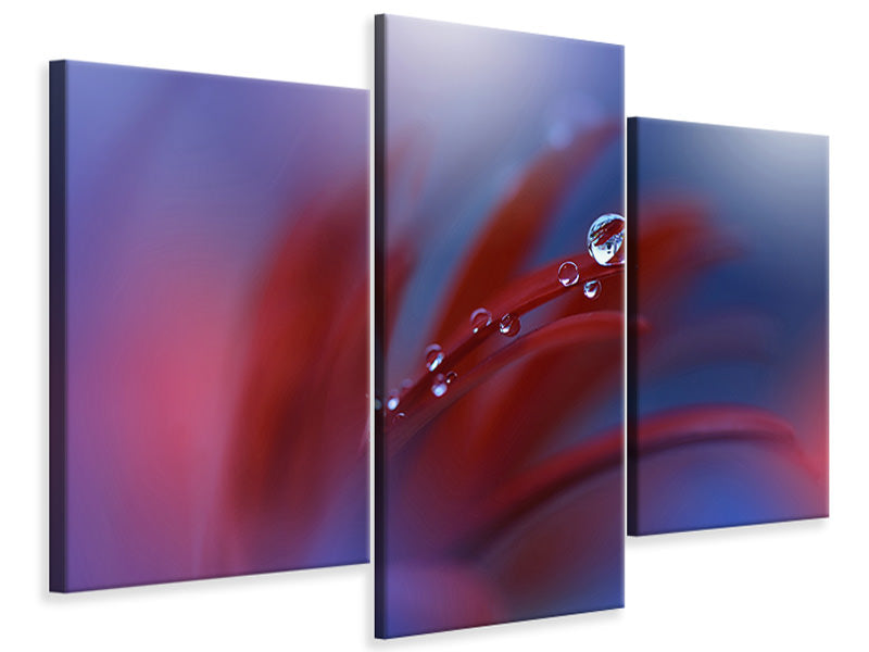 modern-3-piece-canvas-print-strange-feelings