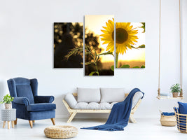 modern-3-piece-canvas-print-sunflower-in-the-sunrise