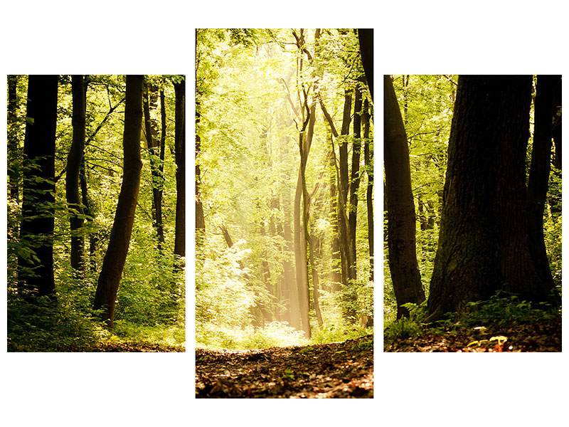 modern-3-piece-canvas-print-sunrise-in-the-forest