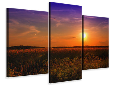 modern-3-piece-canvas-print-sunset-at-the-flower-field