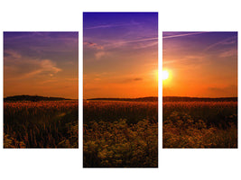 modern-3-piece-canvas-print-sunset-at-the-flower-field