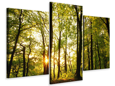 modern-3-piece-canvas-print-sunset-between-trees