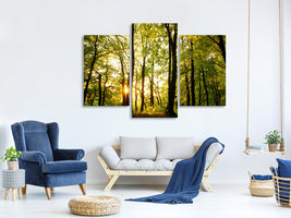 modern-3-piece-canvas-print-sunset-between-trees