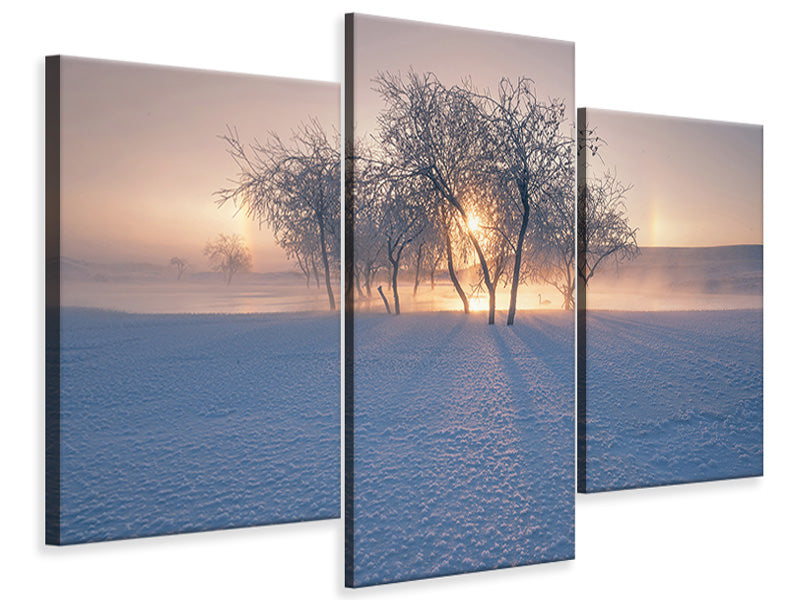 modern-3-piece-canvas-print-swan-lake