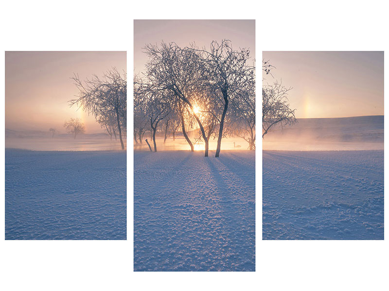 modern-3-piece-canvas-print-swan-lake