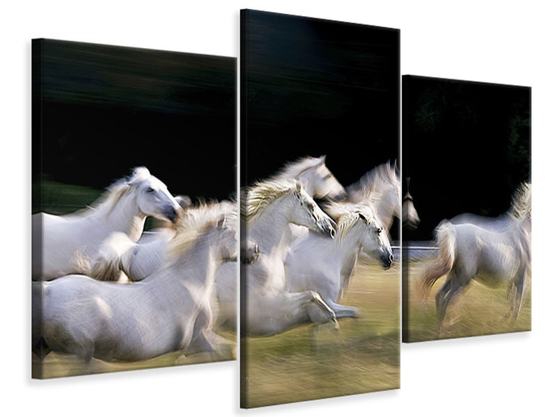 modern-3-piece-canvas-print-ten