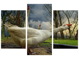 modern-3-piece-canvas-print-the-3-geese