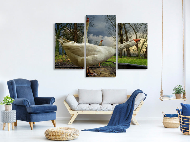 modern-3-piece-canvas-print-the-3-geese