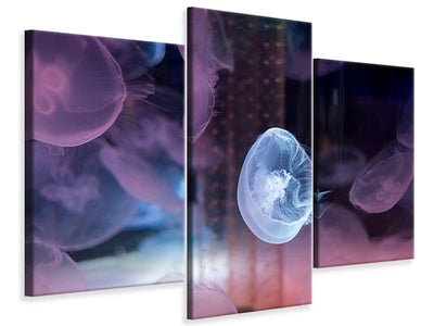modern-3-piece-canvas-print-the-beauty-of-jellyfish