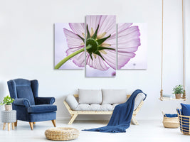 modern-3-piece-canvas-print-the-cosmos-flower
