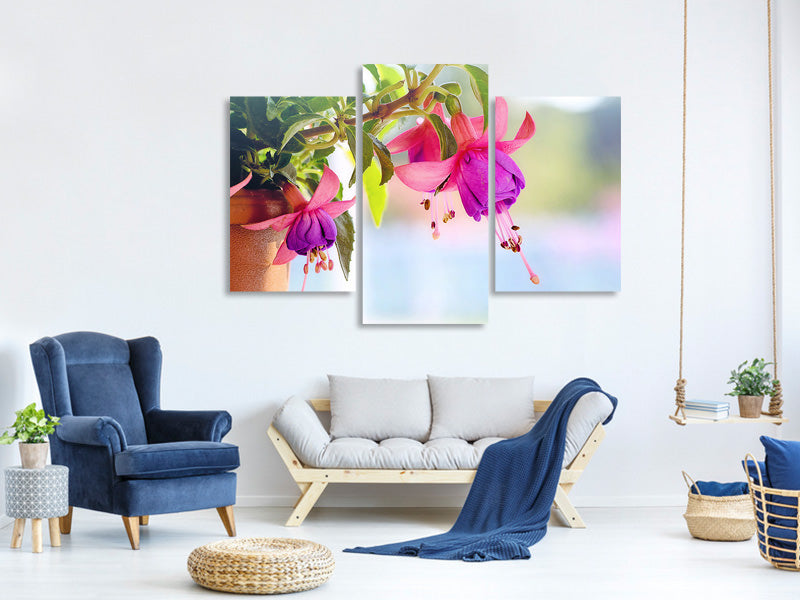 modern-3-piece-canvas-print-the-fuchsias