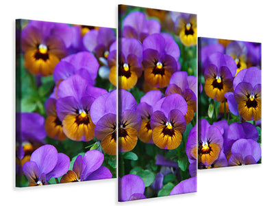 modern-3-piece-canvas-print-the-pansies