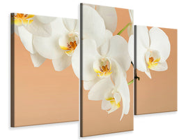 modern-3-piece-canvas-print-white-orchid-flowers