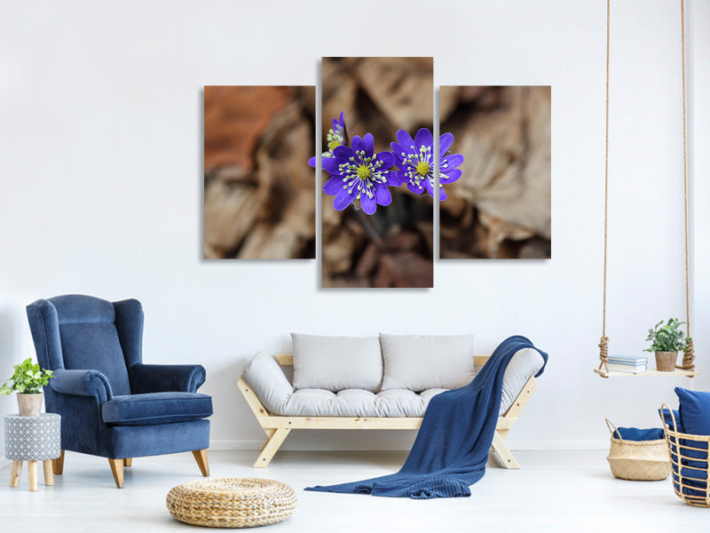 modern-3-piece-canvas-print-wildflowers