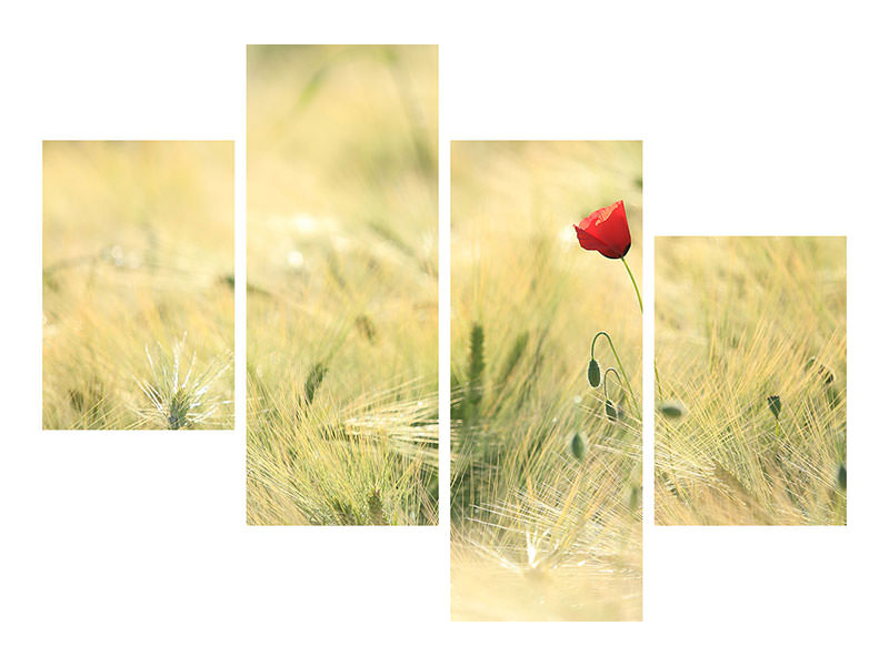 modern-4-piece-canvas-print-a-poppy