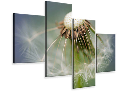 modern-4-piece-canvas-print-dandelion-close-up