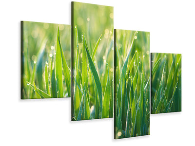 modern-4-piece-canvas-print-grass-with-morning-dew-xl