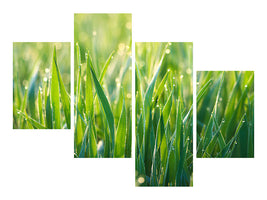 modern-4-piece-canvas-print-grass-with-morning-dew-xl