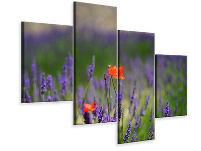 modern-4-piece-canvas-print-poppy-in-the-lavender