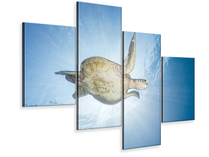 modern-4-piece-canvas-print-sea-turtle-green-turtle