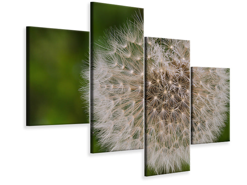 modern-4-piece-canvas-print-the-dandelion-in-nature