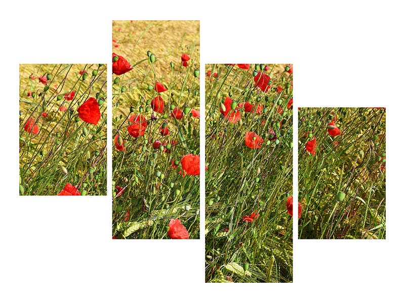 modern-4-piece-canvas-print-the-poppy-in-the-wind