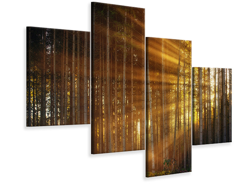 modern-4-piece-canvas-print-trees-in-sunbeams