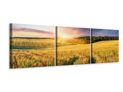 panoramic-3-piece-canvas-print-a-flower-field-at-sunrise