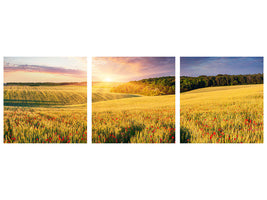panoramic-3-piece-canvas-print-a-flower-field-at-sunrise