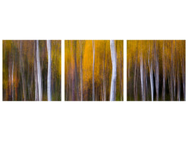 panoramic-3-piece-canvas-print-abstract-fall