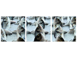 panoramic-3-piece-canvas-print-at-the-fish-market