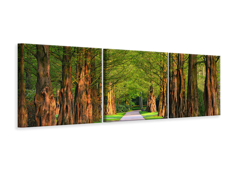 panoramic-3-piece-canvas-print-beautiful-avenue-in-nature