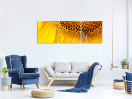 panoramic-3-piece-canvas-print-close-up-yellow-bud