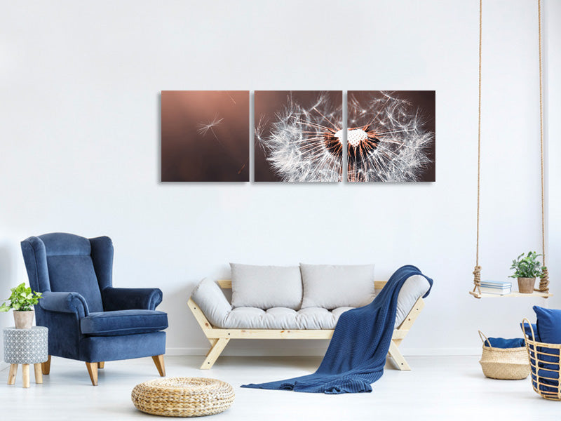 panoramic-3-piece-canvas-print-dandelion-in-the-evening-light