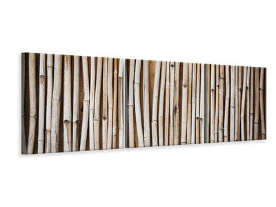 panoramic-3-piece-canvas-print-dried-bamboos