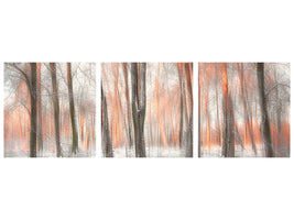 panoramic-3-piece-canvas-print-evening-light