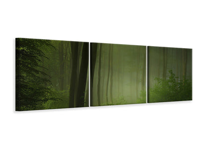 panoramic-3-piece-canvas-print-forest-morning