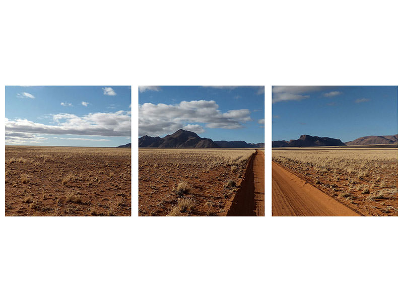panoramic-3-piece-canvas-print-in-namibia