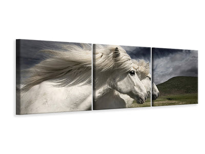 panoramic-3-piece-canvas-print-interplay